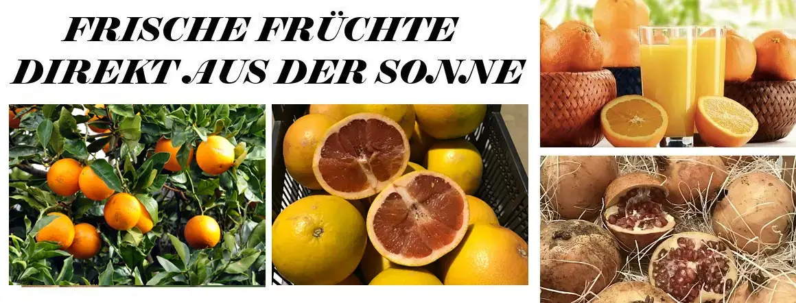 Angebote